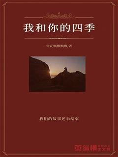美妙圣诞节拼图